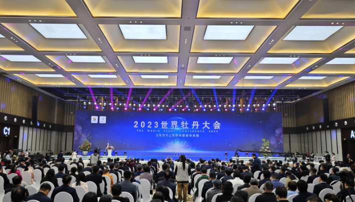 2023年世界牡丹大会在菏泽举办